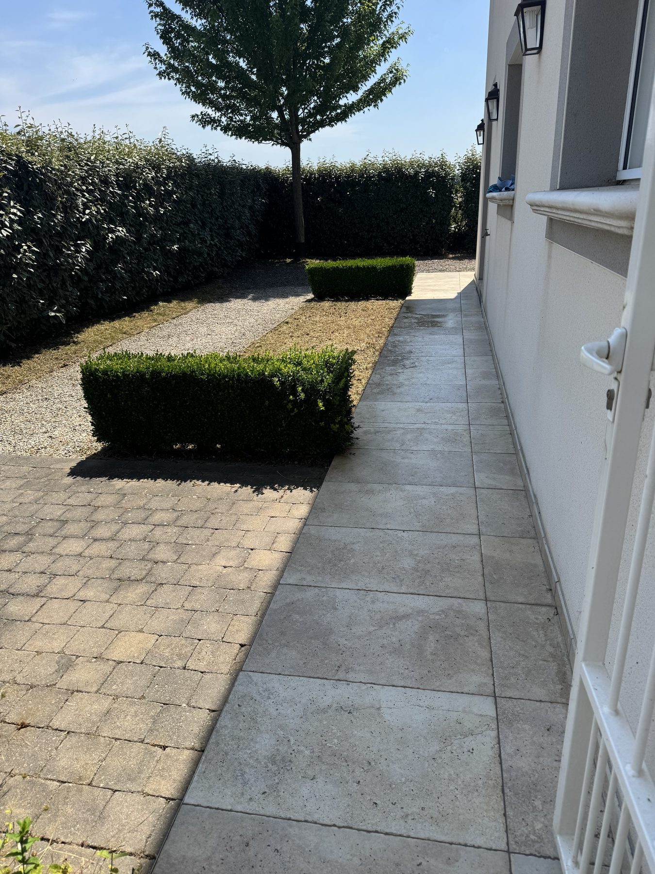 Nettoyage du jardin à Genas